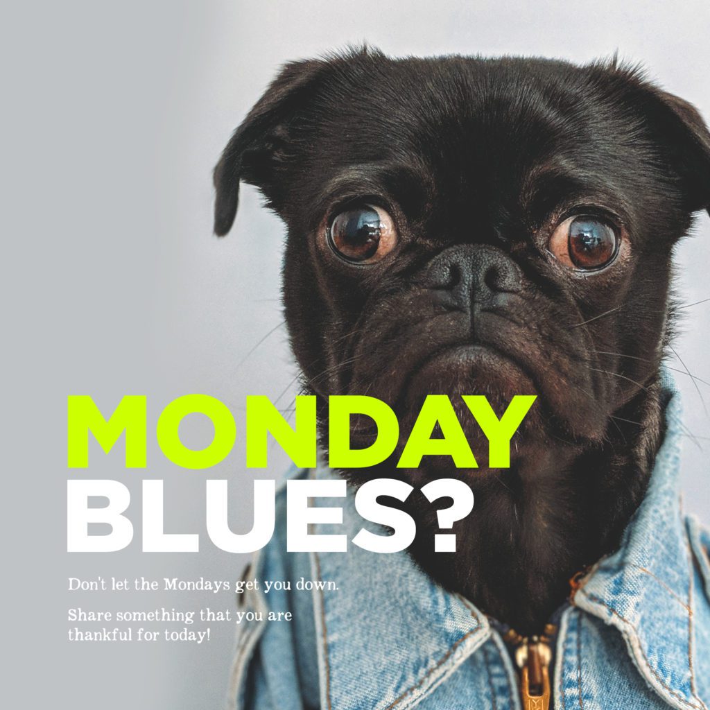 Monday Blues